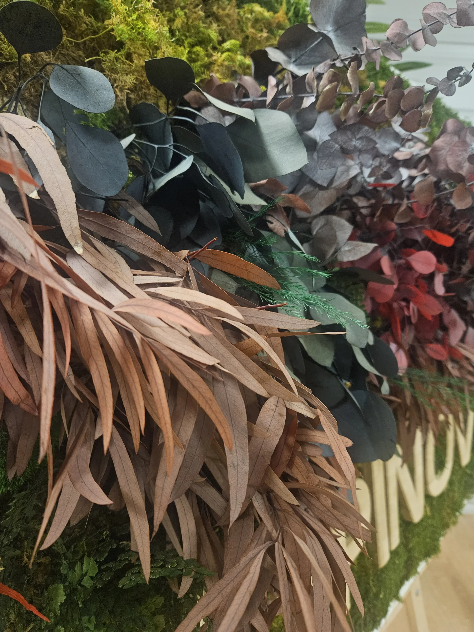 Photo de plusieurs végétaux stabilisés, colorés pour créer plusieurs textures (Eucalyptus, mousse, mousse boule)