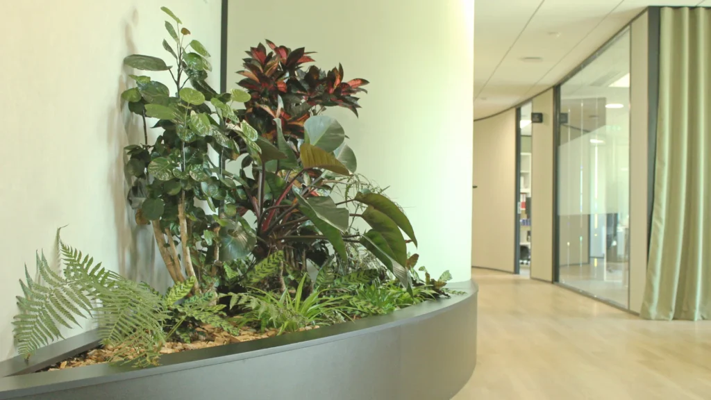Photo avec plusieurs variétés de plantes dans un même pot pour illustrer la décoration végétale au sein d'une entreprise.