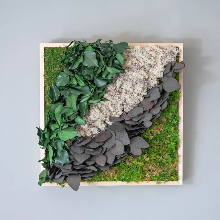 cadre végétal mural composé de Eucalyptus, lichen, lierre, sphaigne