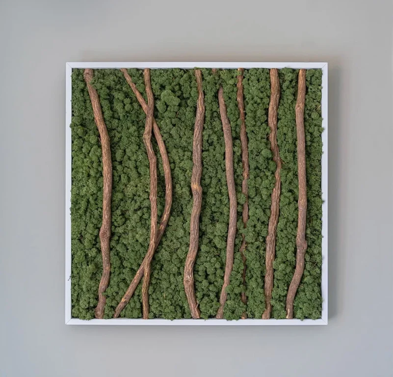 cadre végétal mural composé de lichen et de bois
