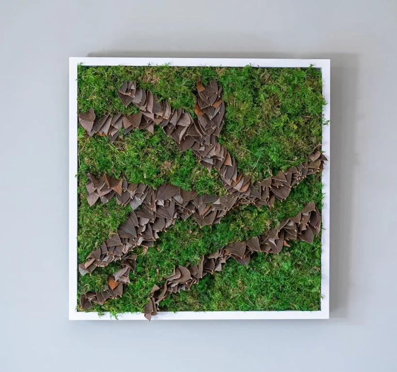 Cadre végétal composé de mousse et de feuilles séchées pour illustrer l'art mural végétal