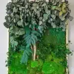tableau végétalisé : Eden composé de Eucalyptus, sphaigne, mousse boule, mousse forêt, pittosporum, asparagus, fougère, bois de glycine