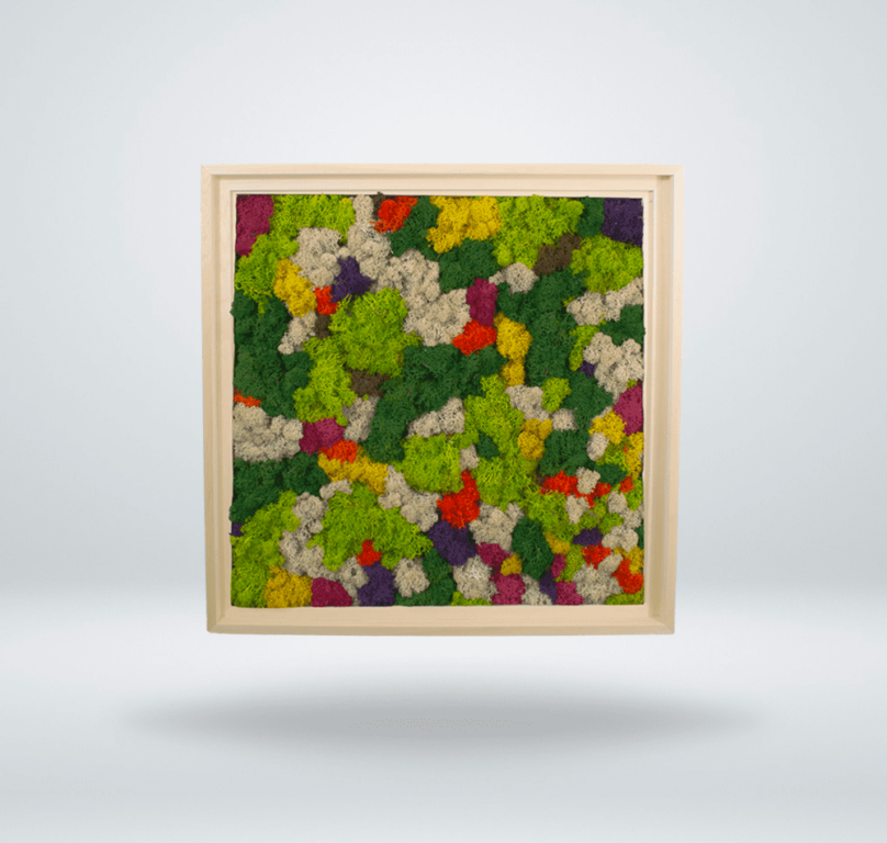 Tableau végétal composé de lichen stabilisé et teint en rouge, en jaune, en vert, en blanc et en rose fuchsia